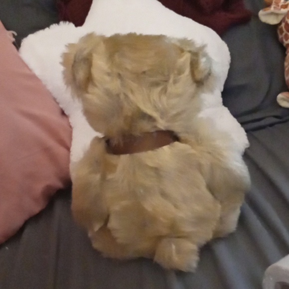 Harry The GOLDEN Teddy Bear COLLECTORS EDITION 2002 Vintage stuffed animal - Picture 7 of 7